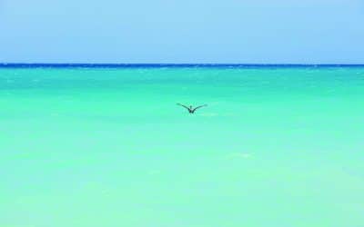 Vacation Escape Travel Shares Aruba’s Top Family Activities